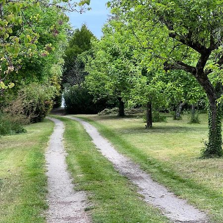 Les Jardins De L'Hermitage Cellettes  Buitenkant foto