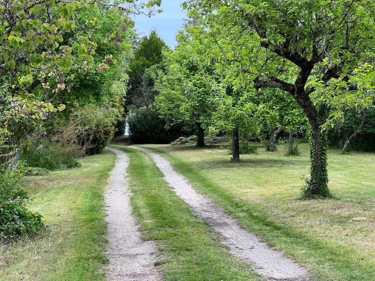 Les Jardins De L'Hermitage Cellettes  Buitenkant foto