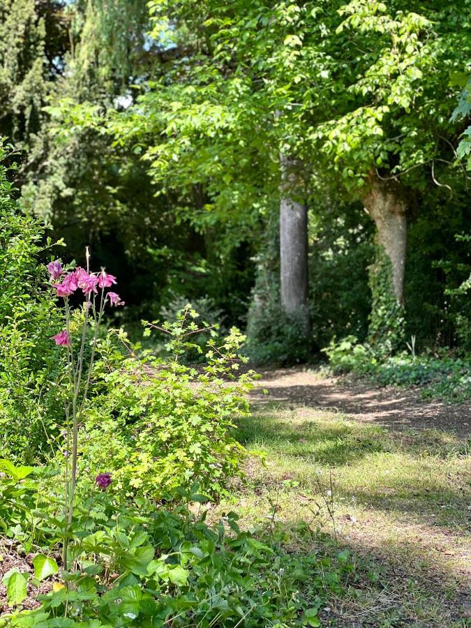 Les Jardins De L'Hermitage Cellettes  Buitenkant foto